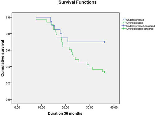 Figure 3 Kaplan–Meier Overall Survival Curve of All TNBC Patients According to miR-223 Expression.