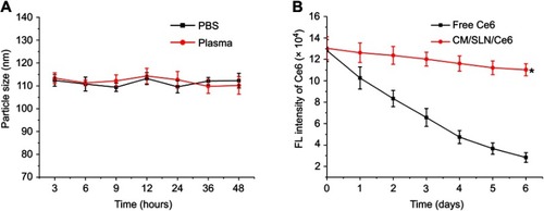 Figure 2 (A) Colloidal stability of CM/SLN/Ce6 in PBS (pH 7.4) and mouse plasma at 37°C for up to 48 hours. (B) Comparative fluorescentstability of CM/SLN/Ce6 and free Ce6.Note: Data were shown as mean ±SD (N=3). *p<0.05.Abbreviations: FL, fluorescent; Ce6, chlorins e6; CM, cellular membranes; SLN, silica nanoparticles.