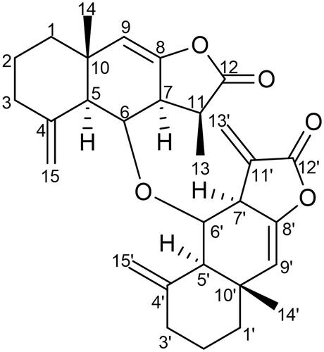 Figure 1. Chemical structure of compound 1 (Racemolactone I).
