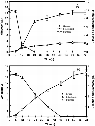 Figure 1. Effects of glucose and xylose on cell growth and L-lactic acid formation.