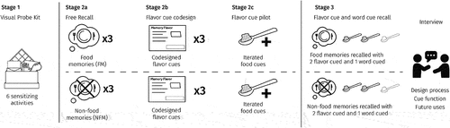 Figure 1. Method diagram showing; Stage 1 visual probe kit, Stage 2 free recall, flavor cue design and flavor cue pilot, Stage 3 flavor cue and word cue recall and interview.