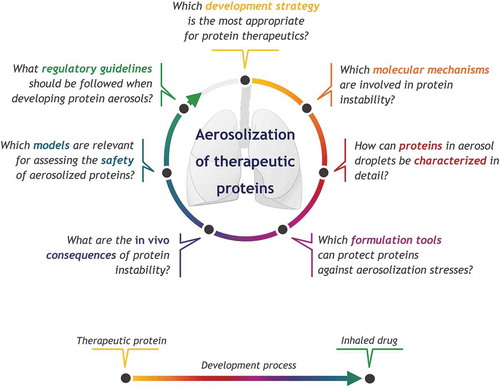 Figure 1. The development of nebulized protein formulations: several key questions have yet to be addressed