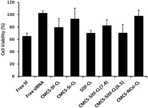 Figure 8. Cell ability determined by MTT assay performed in HepG2 48 h after transfection of free siRNA, free Sf, CMCS-Sf-CL, CMCS-Si-CL, SiSf-CL, CMCS-SiSf-CL (pH 7.4), CMCS-SiSf-CL (pH 6.5), and CMCS-NCsi-CL. The data are mean ± SD (n = 3).