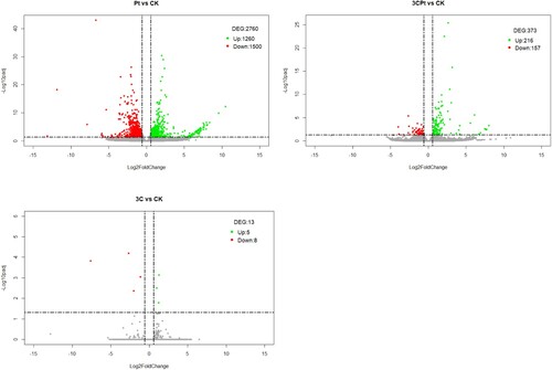 Figure 1. Volcano plot showing the DEGs of the (A) Pt vs. CK comparison, (B) 3CPt vs. CK comparison and (C) 3C vs. CK comparison. The upregulated genes with statistical significance are represented by the green dots, the red dots represent the downregulated genes, and the grey dots are the DEGs with -log10padj <1.3, adopting a log2FoldChange threshold of 0.58 (1.5-fold change). The X-axis corresponds to the variation in gene expression, and the Y-axis corresponds to the -log10padj.