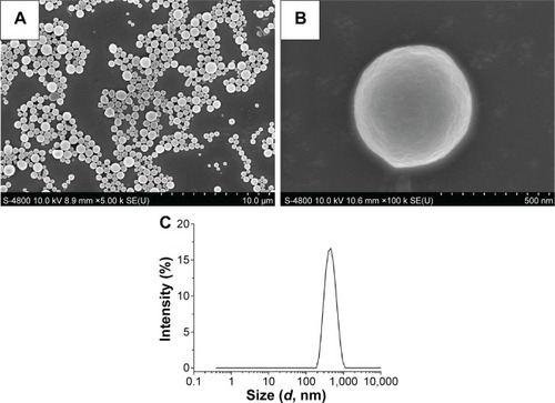 Figure 2 Characterization of BBF-loaded PLLA nanoparticles.Notes: (A) Scanning electron microscope image at low magnification, (B) scanning electron microscope image at high magnification, and (C) size distribution.Abbreviations: BBF, (Z-)-4-bromo-5-(bromomethylene)-2(5H)-furanone; PLLA, poly(l-lactic acid).
