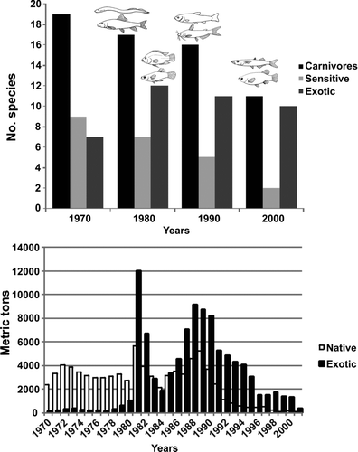 Figure 1 Fish species composition and structure change in Lake Chapala. (a) Number of carnivores, sensitive and exotic species at different decades (pictures from Álvarez 1970). (b) Comparison between native and exotic fish landings as reported by government agency fisheries statistics (CONAPESCA, 2001).