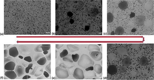 Figure 11. SEM images showing the porous microstructure in samples with (a) THF/solvent = 0:10, (b) THF/solvent = 2:10, (c) THF/solvent = 4:10, (d) THF/solvent = 6:10, (e) THF/solvent = 8:10, and f) THF/solvent = 10:10 (scale bar is 200 μm in all images). g) variation of the relative area fraction of large pores, ρL, with increasing THF/solvent ratio. (h) porosity of the samples with different microstructures fabricated from various solvent formulations. (i, j) stress – strain curve and the initial region for the porous samples with different microstructures and ρL = 0% (Thf/solvent = 0:0), ρL = 30% (Thf/solvent = 3:10), ρL = 54% (Thf/solvent ratio = 5:10), ρL = 86% (Thf/solvent ratio = 8:10), and ρL = 100% (Thf/solvent ratio = 10:10). k) mechanical behavior of solid PDMS (Abshirini et al. Citation2021). Reprinted with permission from (Abshirini et al. Citation2021); copyright 2021 Elsevier.