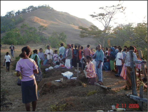 Figure 2 Funar Cemetery in 2006.