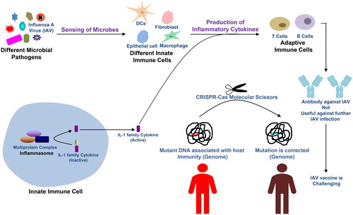 Figure 1. Therapeutic approaches for genetic and infectious diseases.