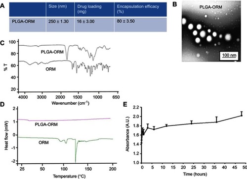 Figure 2 Physicochemical characterization of PLGA-ORM. (A) Table shows particle size (measured by DLS), drug loading, and encapsulation efficiency. (B) TEM image shows particle size of PLGA-ORM. Image was taken at 600,000× (C) FT-IR and (D) DSC spectra of free ORM and PLGA-ORM. (E) Whole human serum stability profile of PLGA-ORM for 48 hrs.Abbreviations: DLS, dynamic light scattering; DSC, differential scanning calorimeter; ORM, ormeloxifene.