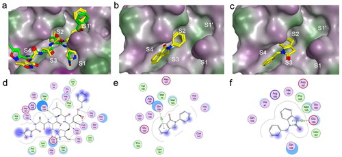 Figure 7. Docking results of N3, ebselen, and compound 7 against the catalytic site of Mpro. (a) Highest scoring pose (yellow) and the crystallographic N3 pose (green). (b) Highest scoring pose of ebselen. (c) Highest scoring pose of compound 7. (d–f) 2D interaction maps for the highest scoring poses of N3, ebselen and compound 7 with Mpro, respectively.