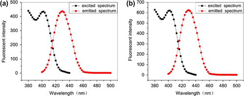 Figure 8 Excitation and emission wavelength of PA (a) and AA–APEL–PA (b).