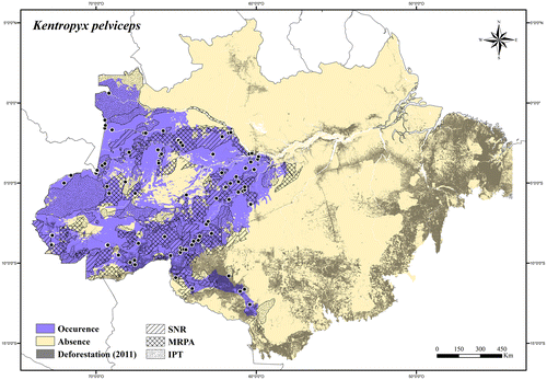 Figure 107. Occurrence area and records of Kentropyx pelviceps in the Brazilian Amazonia, showing the overlap with protected and deforested areas.