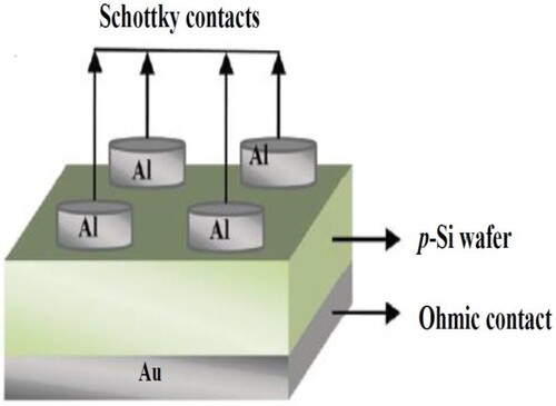 Figure 1. Schematic diagram showing Al/p-Si Schottky diodes with circular Schottky contacts (top surface) and ohmic contact (bottom).