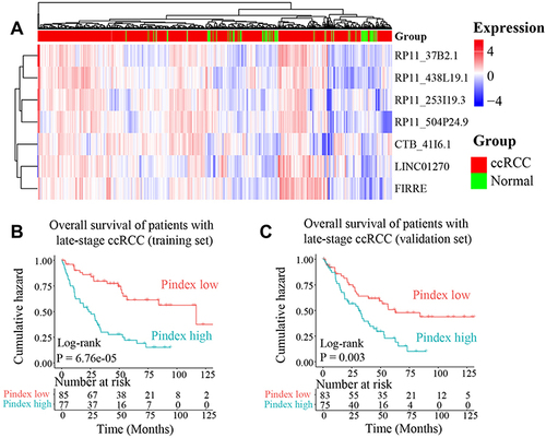 Figure 4 The prognostic potential of our 7-lncRNA signature. (A) The expression of the seven lncRNAs in the TCGA cohort. (B and C) Overall survival of patients with late-stage ccRCC in training (TCGA, n = 162) and validation datasets (ICGC, n = 158). The prognostic index (Pindex) was calculated based on the expression and Cox regression coefficients of the seven lncRNAs. The median value of Pindex was used as a cut-off to divide patients into high- and low-Pindex groups.