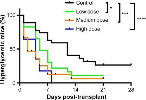 Figure 2 Lixisenatide treatment improves recovery from hyperglycemia in human islet-engrafted mice.