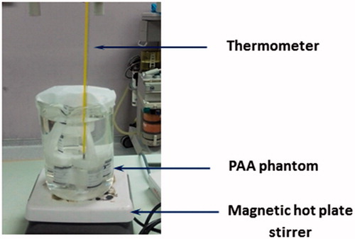 Figure 1. Experimental setup during the thermal equilibrium of the PAA phantoms at different temperatures.