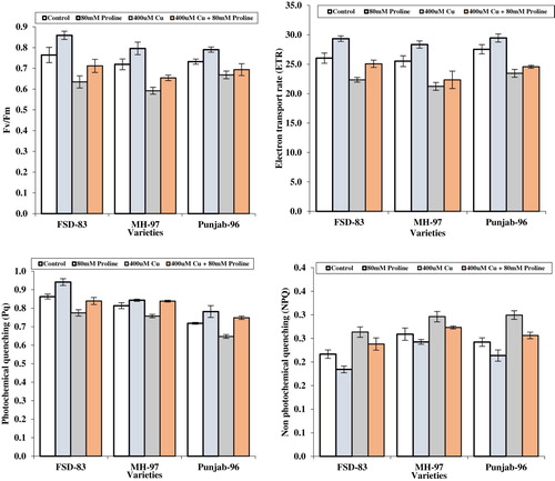 Figure 3. Effect of foliar application of proline (80 mM) on non-photochemical quenching, photochemical quenching, electron transport rate, and maximum productivity of PSII contents of wheat varieties grown under Cu stress.