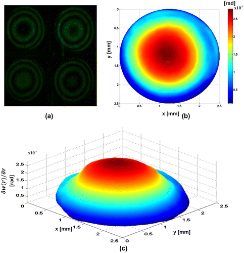 Figure 9. Radial Mode. Spherical wavefront. (a) Four π/2-shifted interferograms captured in a single shot. (b)–(c) Radial slope.