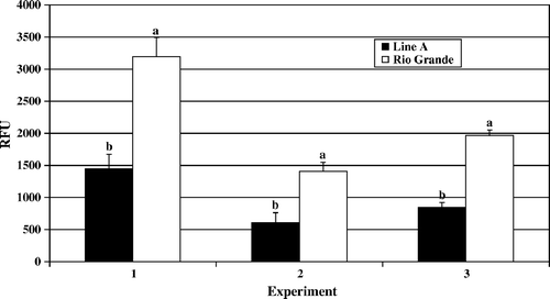 Figure 2.  Day 4 post-hatch heterophil oxidative burst. Results are presented as three separate experiments. Data represent average relative fluorescence units (RFU) per experiment±standard deviation. Heterophils were isolated from pooled peripheral blood from 100 turkeys from each line in each experiment. Heterophils were stimulated with 2 µg/ml PMA for 1 h at 39°C. Data with different letters indicate a significant difference between groups (P < 0.001).