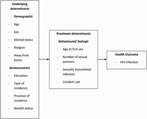 Fig. 1. Conceptual framework for factors affecting the risk of HIV infection among young persons aged 15–24 years, Zimbabwe. Source: Adapted from Mosley and Chen (Citation1984).
