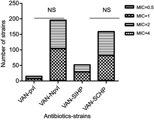 Figure 5 Comparison of MIC to vancomycin between Staphylococcus aureus strains with incomplete hemolytic phenotype (SIHP) strains and S. aureus strains with complete hemolytic phenotype (SCHP) strains as well as pvl-positive and -negative strains.Notes: (NS), P>0.05, difference was not statistically significant.Abbreviations: MIC, minimum inhibitory concentration; VAN, vancomycin; R, resistant; I, intermediate; S, susceptible; pvl, pvl-positive S. aureus; Npvl, pvl-negative S. aureus; NS, not significant.