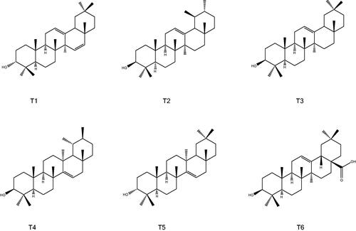 Figure 3. Structures of the isolated triterpenes.