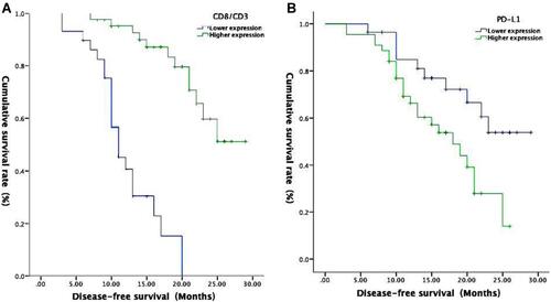 Figure 3 Kaplan–Meier survival analysis curve. (A) CD8/CD3; (B) PD-L1.