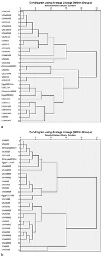 Figure 6. (a) Cluster Analysis of African and North American Spinach Accessions (Year: 2017–2018). (b) Cluster Analysis of African and North American Spinach Accessions (Year: 2018–2019).