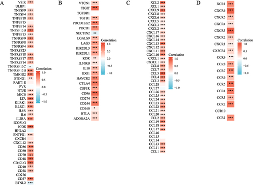 Figure 9 The correlation between LNPEP and immunoregulation-related genes. (A) The heatmap represents the correlation between LNPEP expression and immune activating genes in OV. (B) The heatmap represents the correlation between LNPEP expression and immunosuppressive status related genes. (C) The heatmap represents the correlation between LNPEP expression and chemokine receptor genes. (D) The heatmap represents the correlation between LNPEP expression and chemokine genes. *p < 0.05; **p < 0.01; and ***p < 0.001.