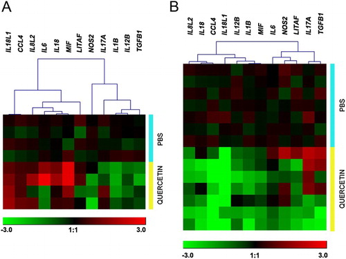 Figure 4. The heat map depicts a mean expression level of each studied gene in chicken heterophils from hybrid broilers (A) and from Pradu chickens (B) with either PBS or quercetin treatment. The expression values ranged from −3 to +3. Red indicates up-regulation, green indicates down-regulation, and black indicates no change in gene expression. The expression levels are according to the colour scale of the log2 values.