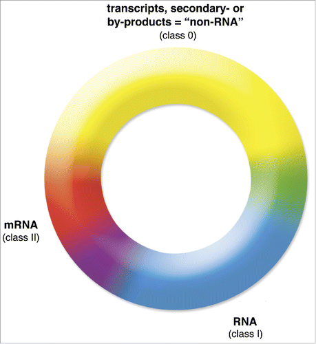 Figure 1. A basic classification of transcripts and RNAs including the fuzziness of boundaries. Depicted is a continuum of the 3 ribonucleic acid superclasses: the first includes stochastic transcripts, other transcripts generated during gene regulation by acts of transcription, secondary products of RNA maturation such as introns etc., and RNA turnover products (transcripts, class 0) in yellow, functional RNAs (RNAs, class I) in blue, and classic mRNAs (mRNAs, class II) in red. Hybrid zones, interphases, or transitions between the 3 classes, for example, reflecting chimeras of 2 classes or those in the process of exaptation or abandonment are shown in purple, orange, and green. This figure does not represent quantitative measures of ribonucleic acid species or their abundances.