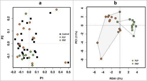 Figure 5. Microbiome analysis showing, (a) PCoA (Principal Coordinates Analysis) plot (to explore and visualize similarities and dissimilarities of the microbiome data of different samples) based on microbial OTUs of control group, placebo group (PLP) and product group (PRP), Bray-Curtis distance, (b) RDA (Redundancy Analysis) plot of PLP (placebo group) versus PRP (product group) after administration.