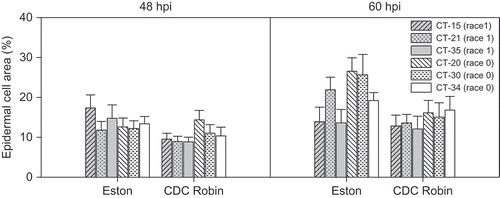 Fig. 5. Size of primary hyphae (assessed as per cent epidermal cell area occupied by primary hyphae) of six isolates of Colletotrichum truncatum belonging to two races 48 h and 60 h post-inoculation in detached leaflets of lentil cultivars ‘Eston’ and ‘CDC Robin’.