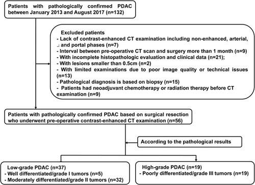 Figure 1 Flowchart of study patients and exclusion criteria.Abbreviations: PDAC, pancreatic ductal adenocarcinoma; CT, computed tomography.