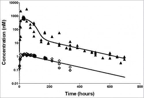 Figure 4. Application of the developed TMDD model for SC dosing of the anti-ASGPR antibody. Markers present individual measurements for 1 mg/kg (◊) and 30 mg/kg (▴). Lines represent model predicted values. The model parameters used for simulations are presented in Supplementary Table 2.