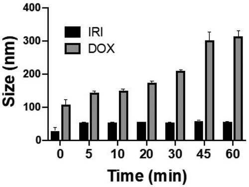 Figure 2. Comparison of the size of the emulsion formed over time between DOX-lipiodol and IRI-lipiodol at the most stable ratio (20 mg drug:2 mL lipiodol).