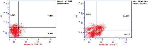 Figure 5. Effect of compound 3c on the percentage of annexin V-FITC-positive staining in MCF-7 cells.