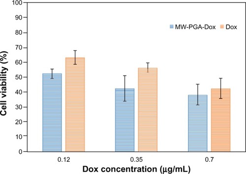 Figure 10 The cytotoxicity of free doxorubicin (Dox) and Dox-loaded multiwalled (MW) polyglycolic acid (PGA) carbon nanotubes after incubation with HeLa cells for 24 hours at 37°C