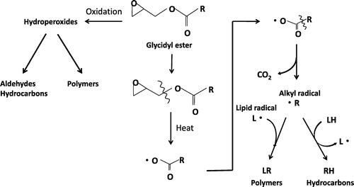 Fig. 9. Conjectured mechanism for the formation of hydrocarbons, aldehydes, and polar compounds (polymers) from glycidyl esters (GEs) during heating at high temperature.