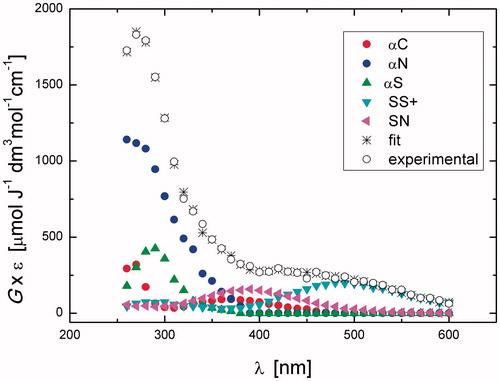 Figure 1. Resolution of the spectral components in the transient absorption spectrum recorded 1.4 μs after the electron pulse in N2O-saturated aqueous solution containing 0.2 mM Gly-Met-Gly at pH 5.5 (the explanation of symbols is in the legend and Scheme 2).