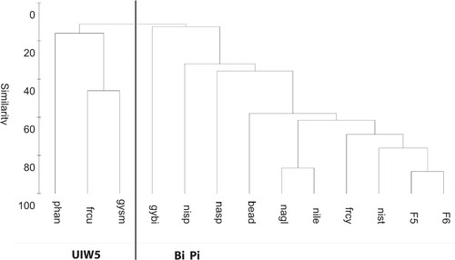 Fig. 14 Cluster using group-average linking on Bray–Curtis species (and microalgae groups) similarity from standardized abundance data. The most important species or morphotypes, with a contribution > 5%, were retained from the original list. Two groups—UIW5 (sub-ice water at 5-m depth) and Bi Pi (bottom ice and platelet ice algae)—defined at an arbitrary similarity level of 12%, are indicated. Nanoflagellates less than 5 µm are denoted as F5 and those in the size range of 6–10 µm are F6. See Table 6 for the significance of the other abbreviations.