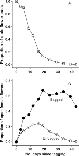 Figure 4  Flowering periodicity of male and female Coprosma spathulata plants. A, The proportion of unopened male flower buds on tagged branches. B, The proportion of open female bagged and unbagged flowers.