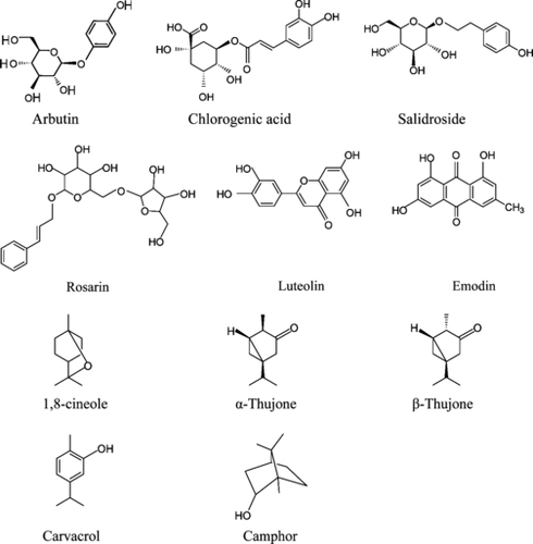 Figure 1 Phenolic compounds and essential oil constituents.