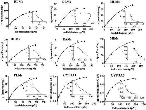 Figure 4. Kinetics of toddalolactone metabolism in RLMs, DLMs, MLMs, HLMs, RAMs, MIMs, PLMs, CYP1A1 and CYP3A5 in the presence of an NADPH system. The Eadie–Hofstee plots (V–V/S plot) are shown as an inset. Data represent the mean of triplicate determinations.