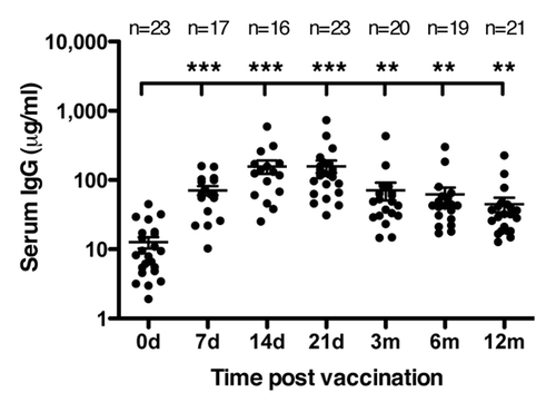 Figure 4. Human serum antibodies detecting HAC1. HAC1 detecting IgG antibodies were measured by ELISA on serum collected pre vaccination and at 7, 14 and 21 d (d) and 3, 6 and 12 mo (m) post vaccination. Each symbol represents one individual serum sample. Lines represent the mean ± standard error of the mean (SEM). ** and *** indicate concentrations significantly different from day 0 with p < 0.005 and p < 0.0005, respectively. The number of sera (n) included at each time point is indicated.