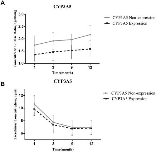 Figure 2 The effect of CYP3A5 genotype on tacrolimus pharmacokinetic (PK) variability. (A) Tacrolimus concentration/dose ratio (C0/D) over time by CYP3A5 genotype. (B) Tacrolimus concentrations over time by CYP3A5 genotype.