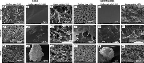 Figure 4. SEM micrographs of plain sponges: (a) S6 and (b) S9, THC-NC-S: (c) S10 and (d) S12, THC-S: (e) S11 and (f) S13, (1): Surface view at low magnification (×50), (2): surface view at higher magnification (×11,000), (3): cross sectional view at intermediate magnification (×85).