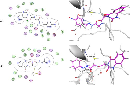 Figure 13. Docking pose of compound 4b and 4e with VEGFR-2 TK (PDB: 4asd).