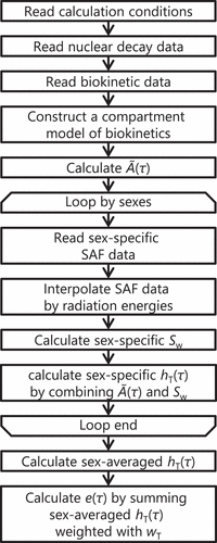 Figure 1. Calculation flow of program developed in the present study.